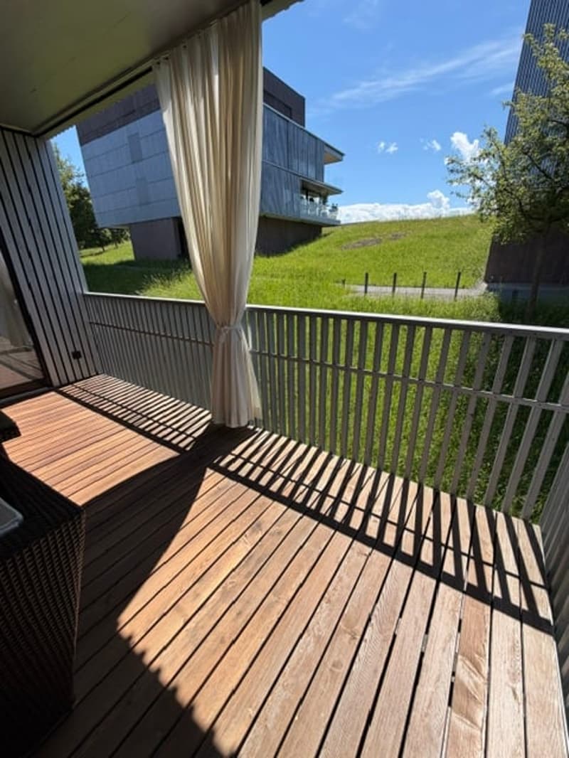 Hochwertige 2.5-Zimmer-Wohnung mit grosszügigem Wohnbereich und 10 m² Südwest-Terrasse (1)