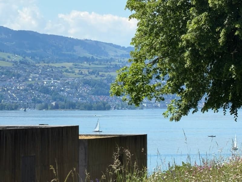 Hochwertige 2.5-Zimmer-Wohnung mit grosszügigem Wohnbereich und 10 m² Südwest-Terrasse (3)