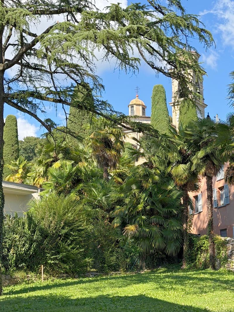 Magliaso – Elegante 3,5 locali immerso nel verde con balcone e posteggio (4)