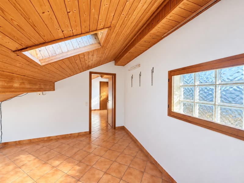 Collina d’Oro: potenziale a reddito o una casa di 7 locali tutta da vivere (10)