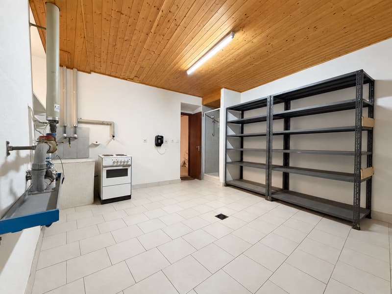 Collina d’Oro: potenziale a reddito o una casa di 7 locali tutta da vivere (17)