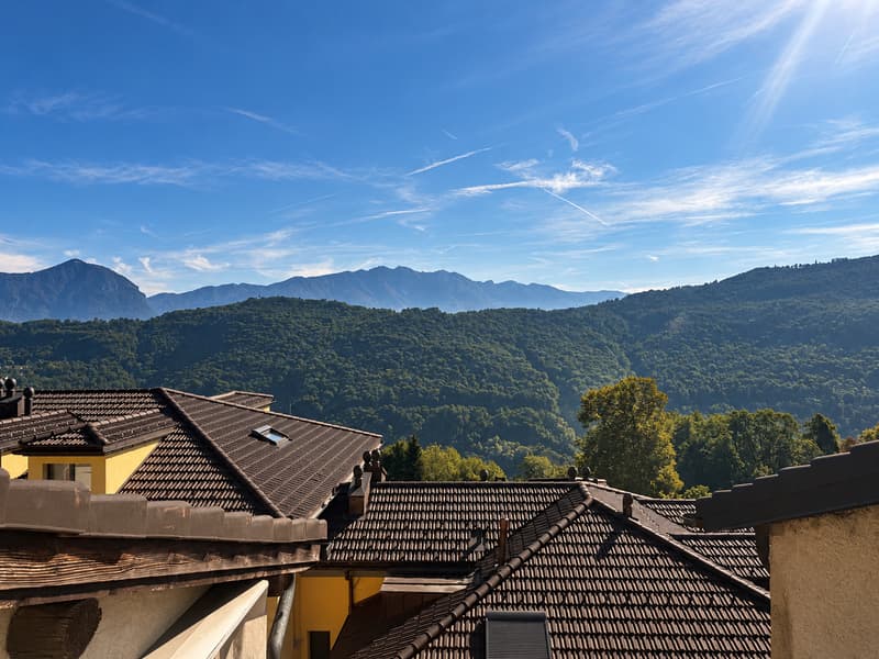 Collina d’Oro: potenziale a reddito o una casa di 7 locali tutta da vivere (24)