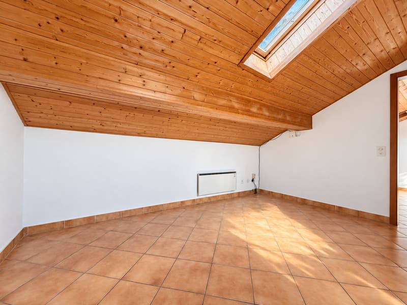 Collina d’Oro: potenziale a reddito o una casa di 7 locali tutta da vivere (9)