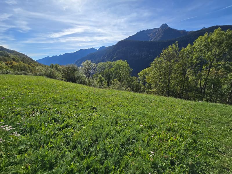 Doppelhaus mit Rustico, grossem Grundstück und schönem Panoramablick (2)