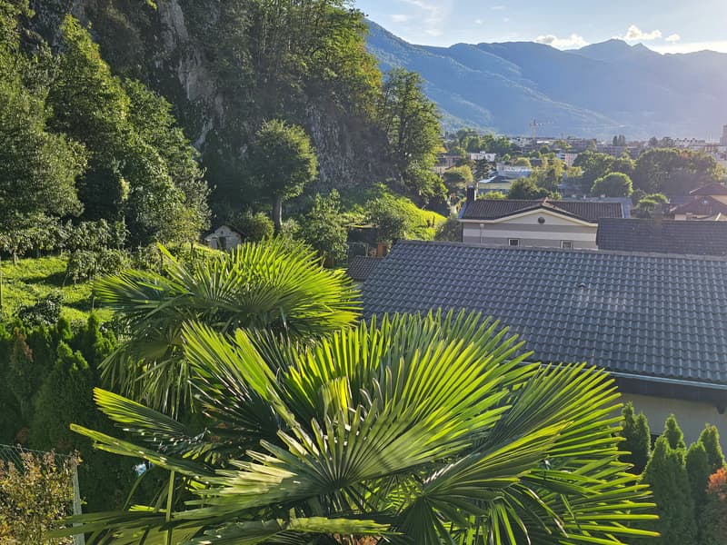 Ampia villa unifamiliare con piscina,  terreno edificabile e bella vista (3)