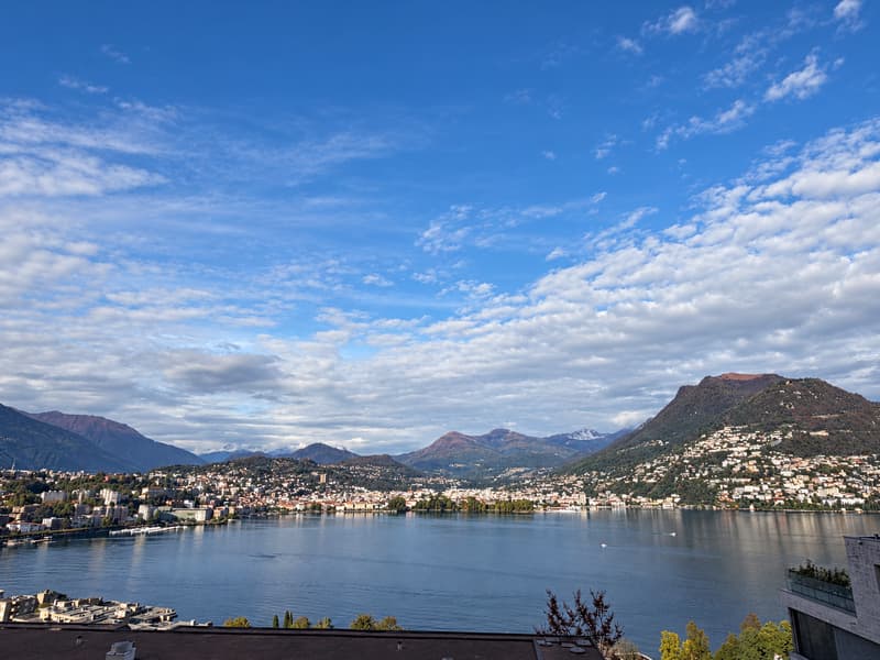 Stunning 3.5-Room Apartment with Panoramic Lake & Mountain Views in Paradiso (5)