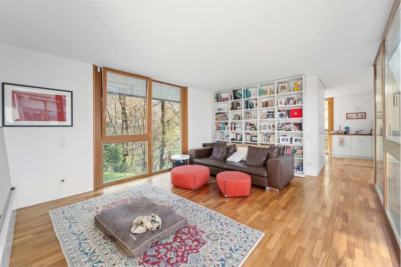 Villa pregio Sonvico, Vedi in: 3D -Video-360 gradi (12)