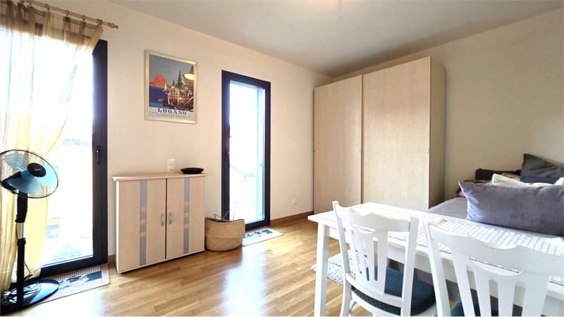 3.5 locali con possibilità di residenza secondaria (9)