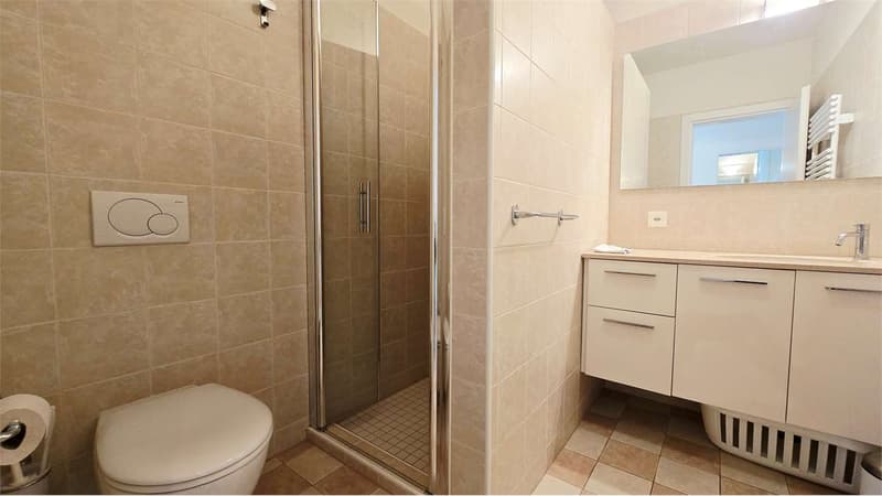 3.5 locali con possibilità di residenza secondaria (6)