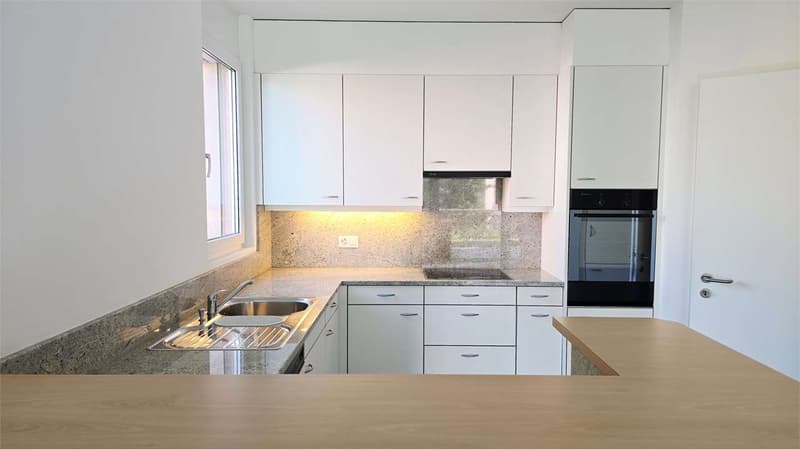 Appartement élégant de 3.5 pièces avec grande terrasse - Pregassona (9)