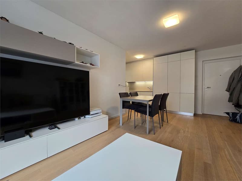 Appartement moderne 2.5 pièces avec terrasse - Résidence Minergie à Agno (9)