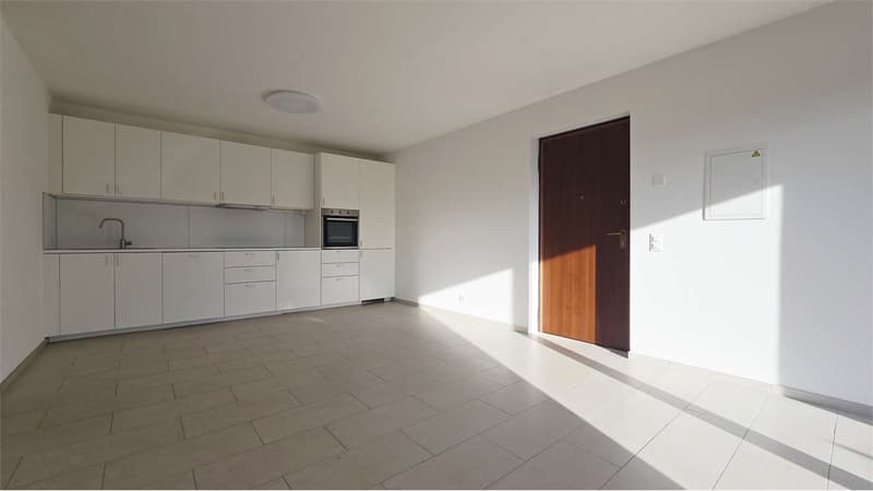 Modernes Apartment mit 2.5 Zimmern, Terrasse und Garten - Vernate (3)