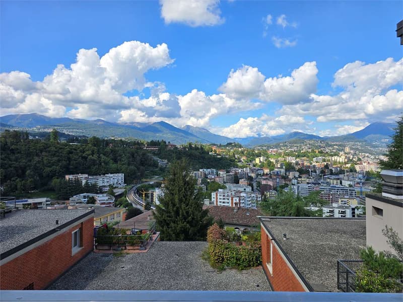 Paradise - Bright 4.5-room apartment with spacious rooms and modern finishes (11)