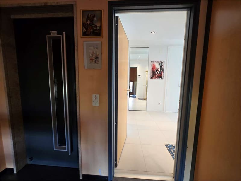 Paradise - Bright 4.5-room apartment with spacious rooms and modern finishes (13)