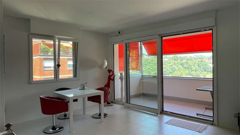 Paradise - Bright 4.5-room apartment with spacious rooms and modern finishes (3)