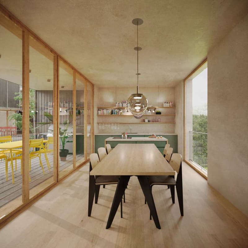 Nouvelle villa 5.5 pièces en bioconstruction avec jardin - Stabio (6)