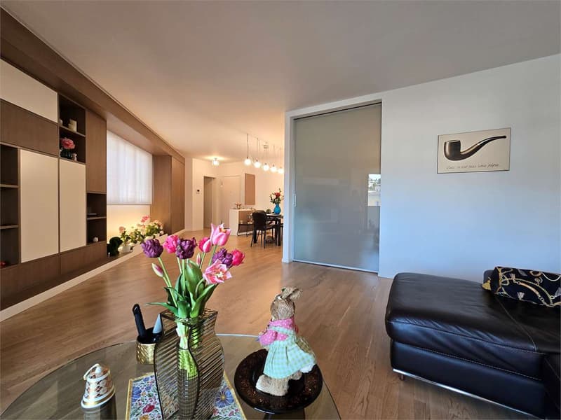 Elegant 4.5 rooms with terrace and laundry in the house (1)