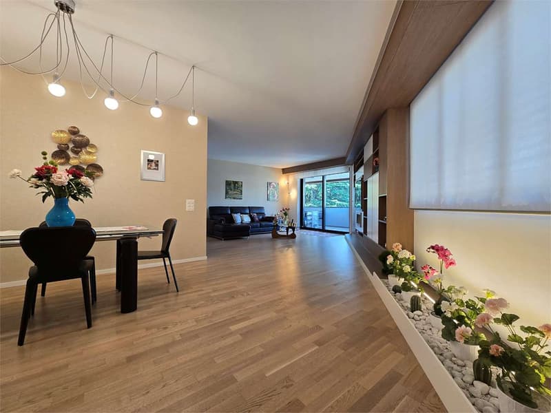 Elegant 4.5 rooms with terrace and laundry in the house (2)