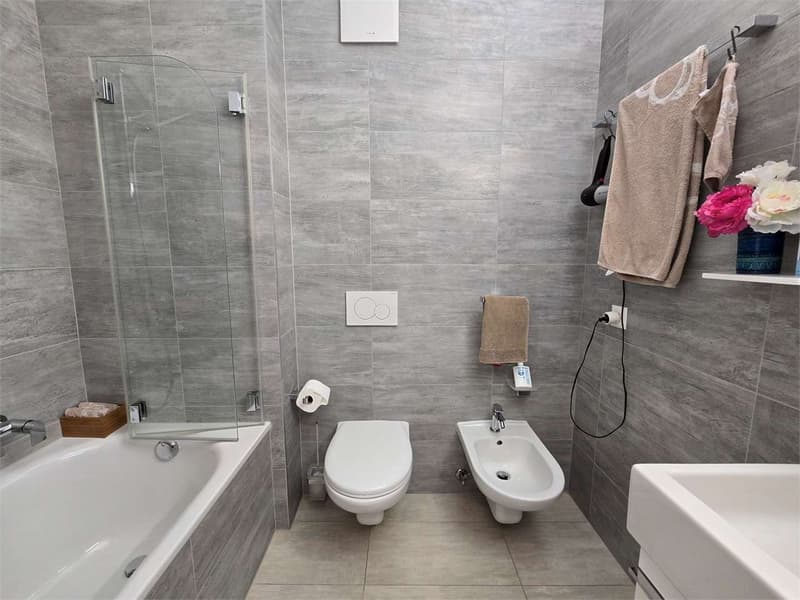 Elegant 4.5 rooms with terrace and laundry in the house (12)