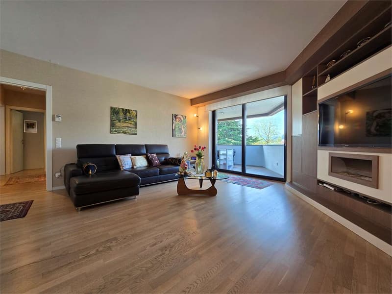 Elegant 4.5 rooms with terrace and laundry in the house (8)