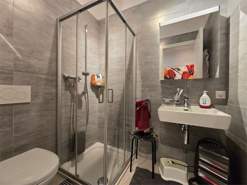 Elegant 4.5 rooms with terrace and laundry in the house (9)