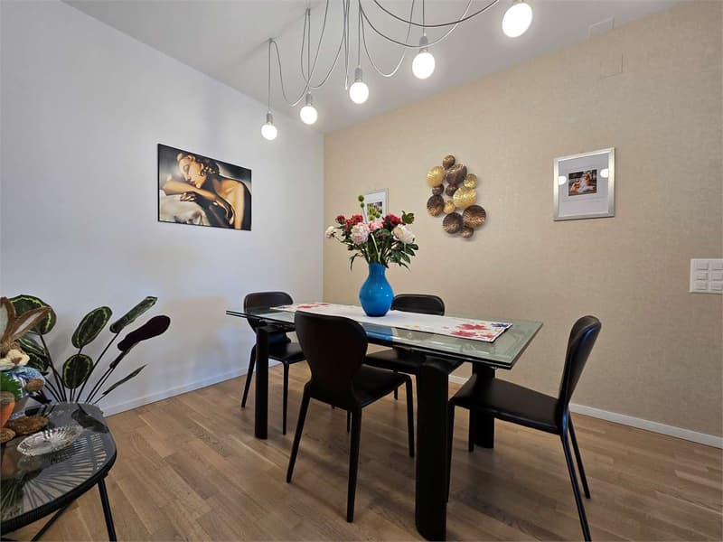 Elegant 4.5 rooms with terrace and laundry in the house (7)