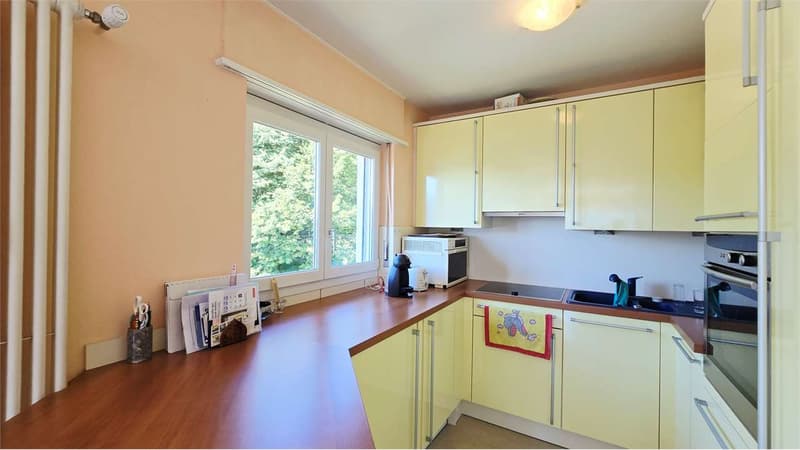 Dachwohnung 3.5 Zimmer in Carona - auch als Zweitwohnsitz (7)