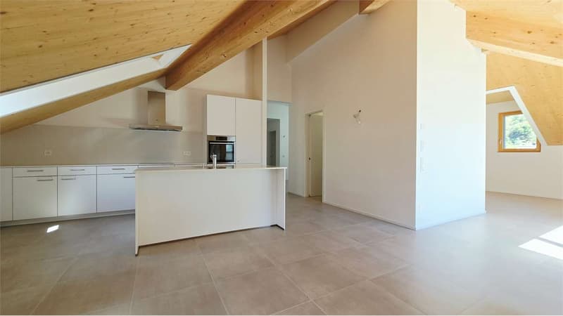 Mansardato Attico 3.5 locali - Ascensore diretto in casa (5)