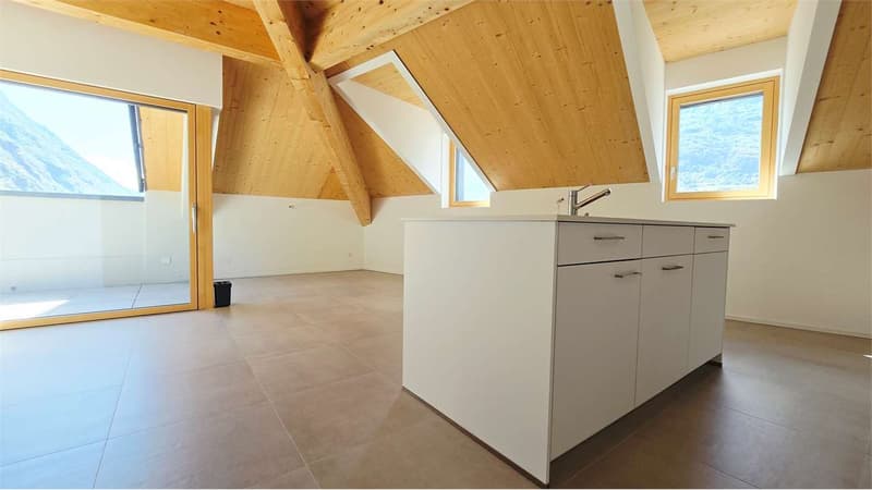 Mansardato Attico 3.5 locali - Ascensore diretto in casa (7)