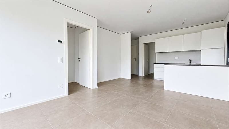 Moderno appartamento 2.5 locali - Ottimo anche come investimento a red (3)