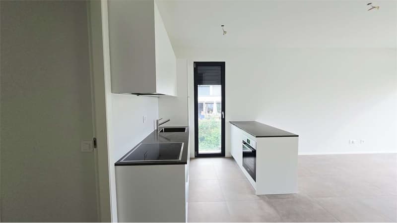 Moderno appartamento 2.5 locali - Ottimo anche come investimento a red (8)