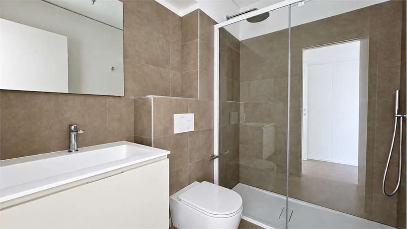 Moderno appartamento 2.5 locali - Ottimo anche come investimento a red (4)
