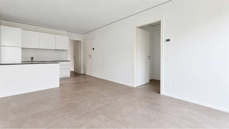 Moderno appartamento 2.5 locali - Ottimo anche come investimento a red (5)