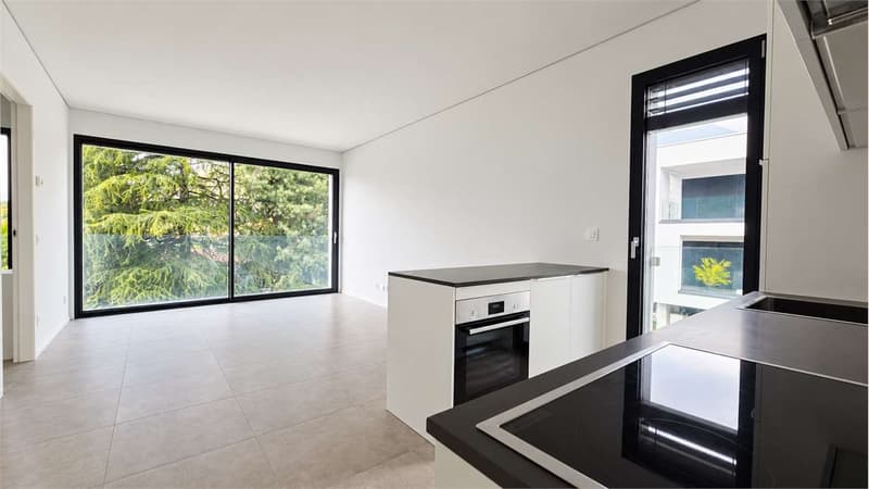 Moderno appartamento 2.5 locali - Ottimo anche come investimento a red (2)
