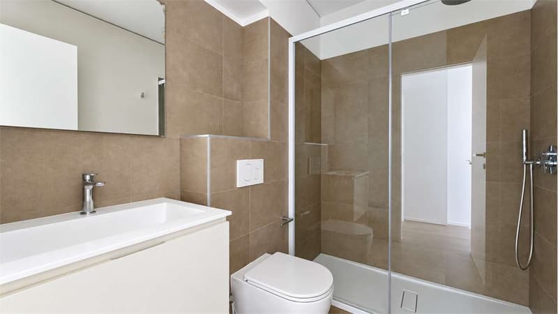 Moderno appartamento 2.5 locali - Ottimo anche come investimento a red (4)