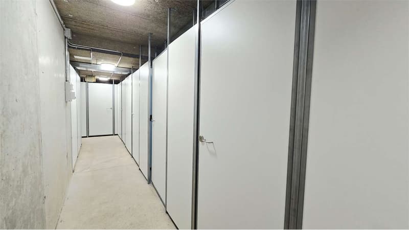 Moderno appartamento 2.5 locali con terrazza nella Residenza Due Laghi (13)