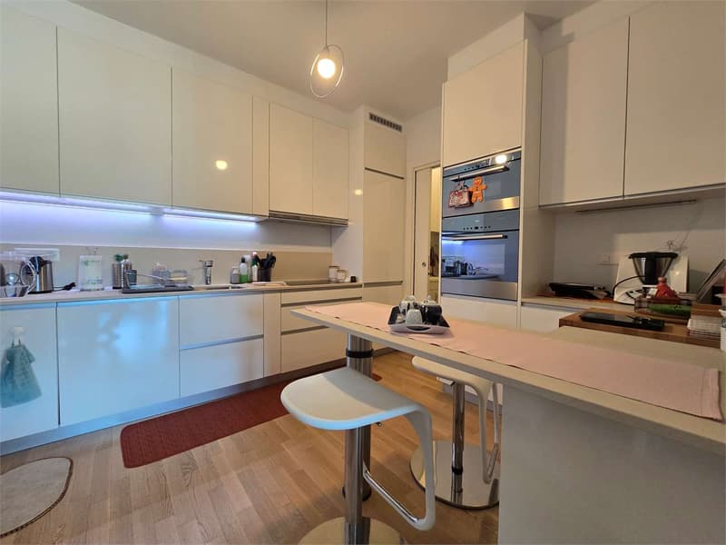 Elegante 4.5 con terrazza e lavanderia in casa (6)