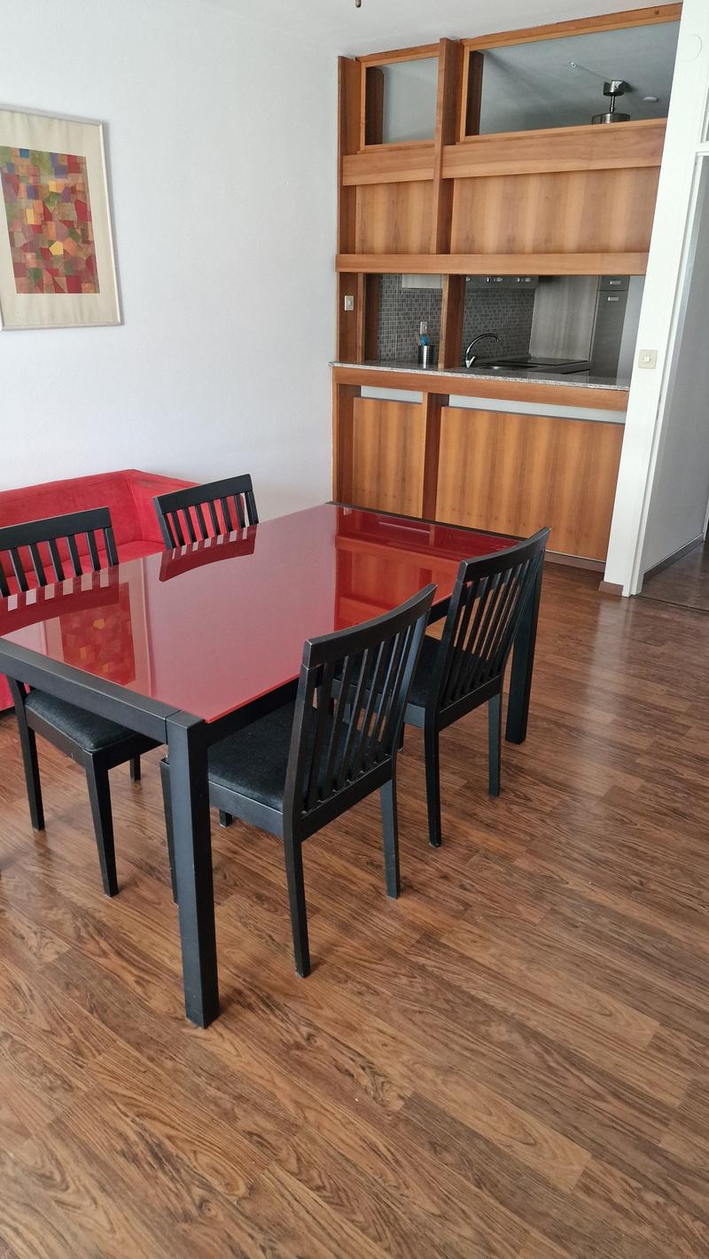 AFFITTASI Appartamento semi arredato di 2.5 locali a Lugano-Cassarate, posizione strategica (1)