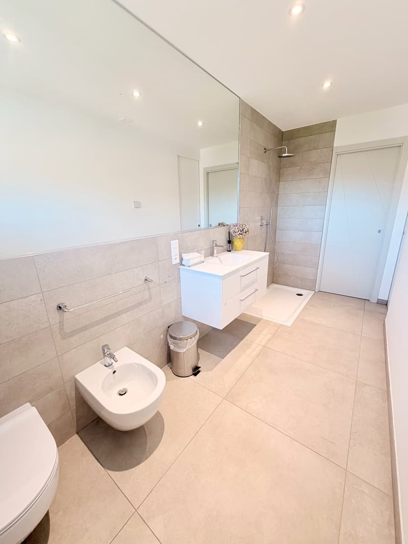 Appartement moderne 2.5 pièces à Agno avec vue panoramique (4)