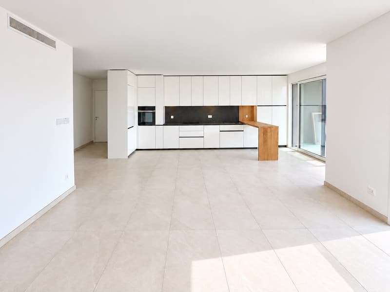 APPARTAMENTO 4.5 LOCALI CON AMPIO PORTICO IN AFFITTO A BIOGGIO (2)