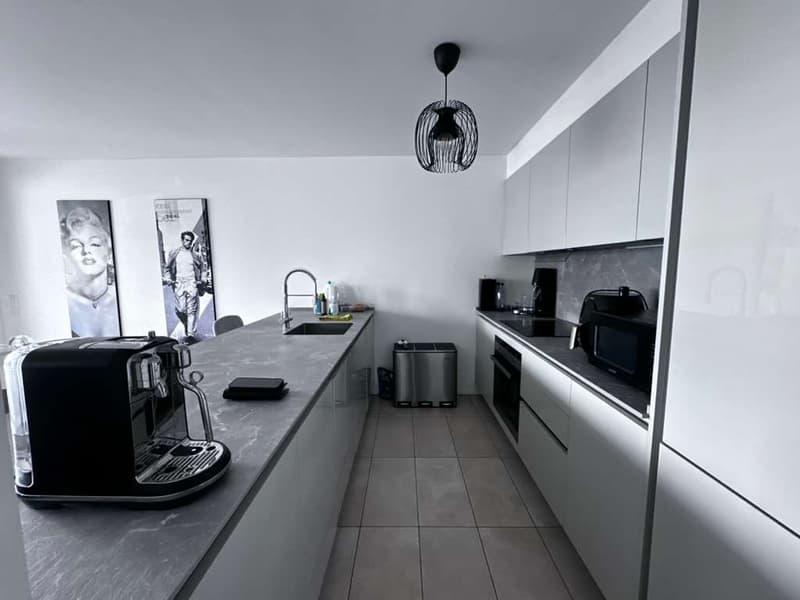 Bright 3.5-room apartment with large terraces (6)