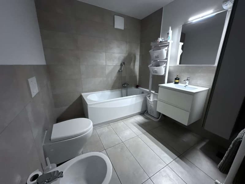 Bright 3.5-room apartment with large terraces (13)