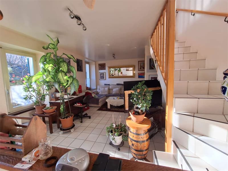 Historic Charm and Sunny: Your Peaceful Oasis in Coldrerio (12)