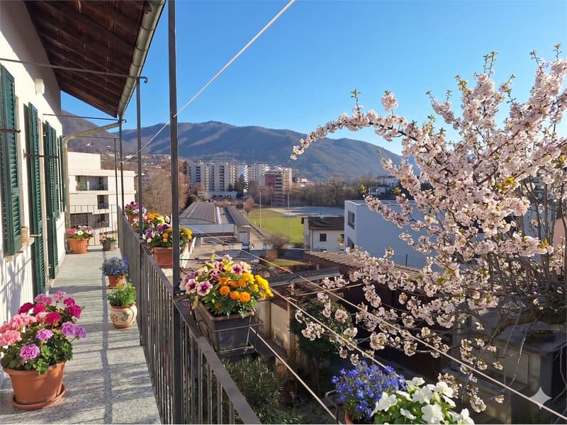 Historic Charm and Sunny: Your Peaceful Oasis in Coldrerio (3)