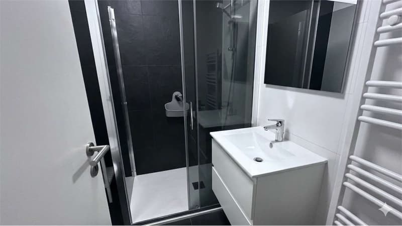 Bright 2.5-room apartment with large terrace (4)