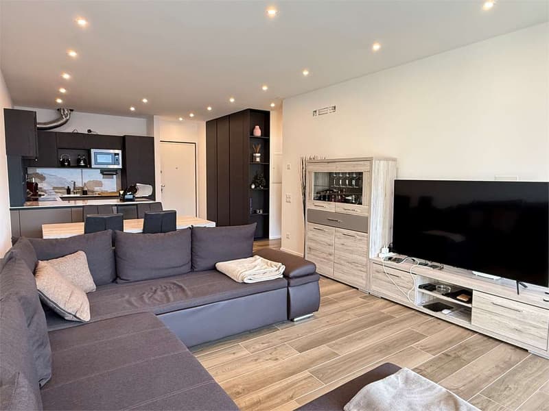 Lake view, new 2.5-room apartment with terrace (6)