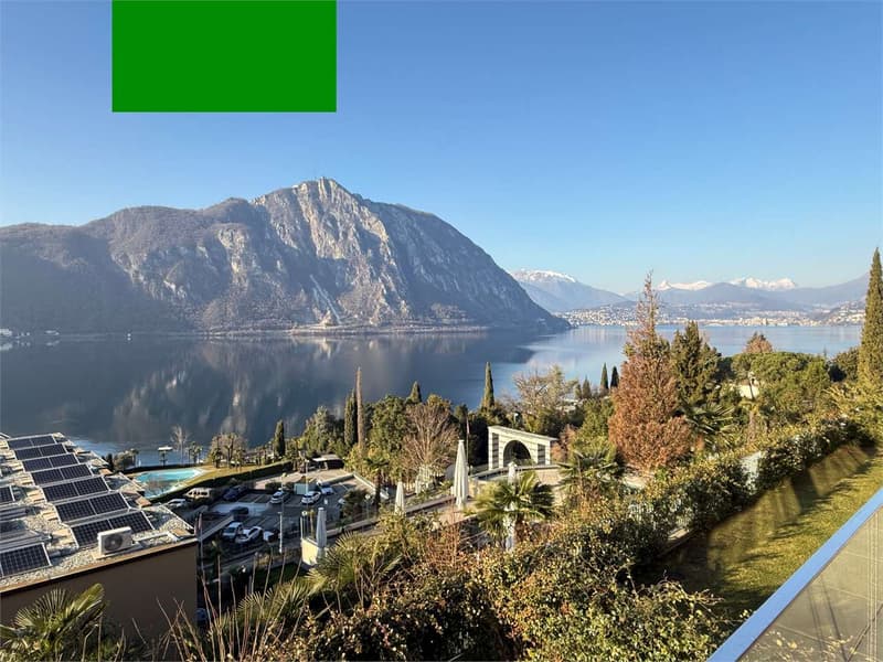 Lake view, new 2.5-room apartment with terrace (3)