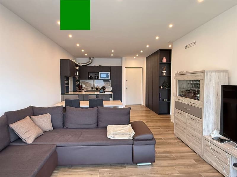 Lake view, new 2.5-room apartment with terrace (5)
