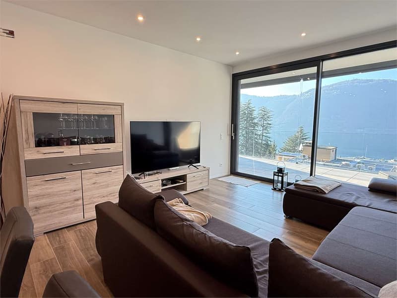 Lake view, new 2.5-room apartment with terrace (2)