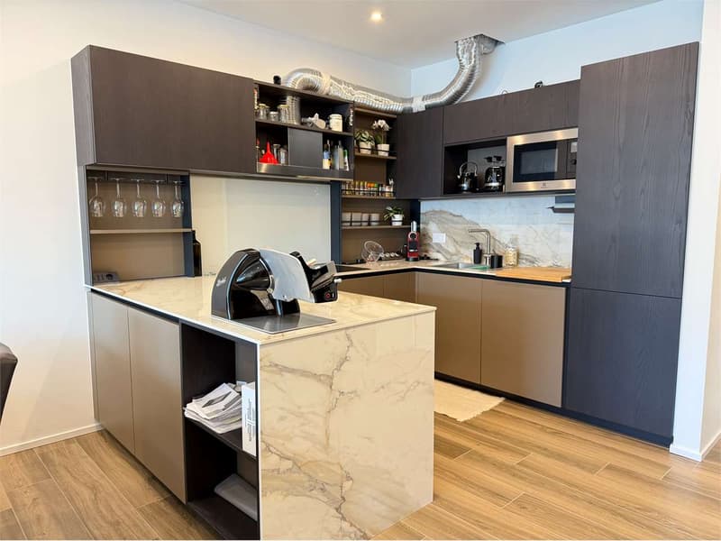 Lake view, new 2.5-room apartment with terrace (7)